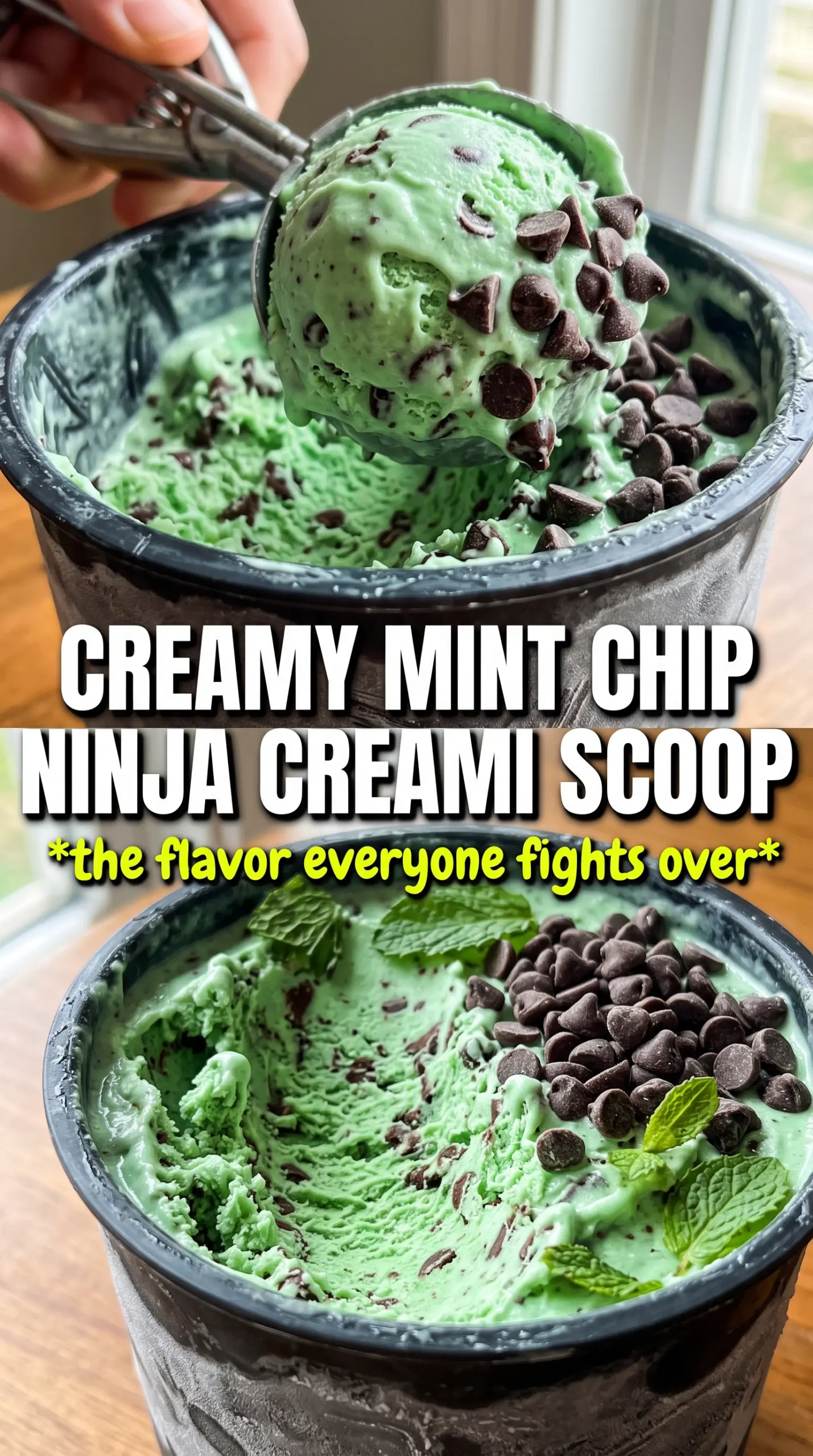 Scoop of homemade ice cream in a bowl